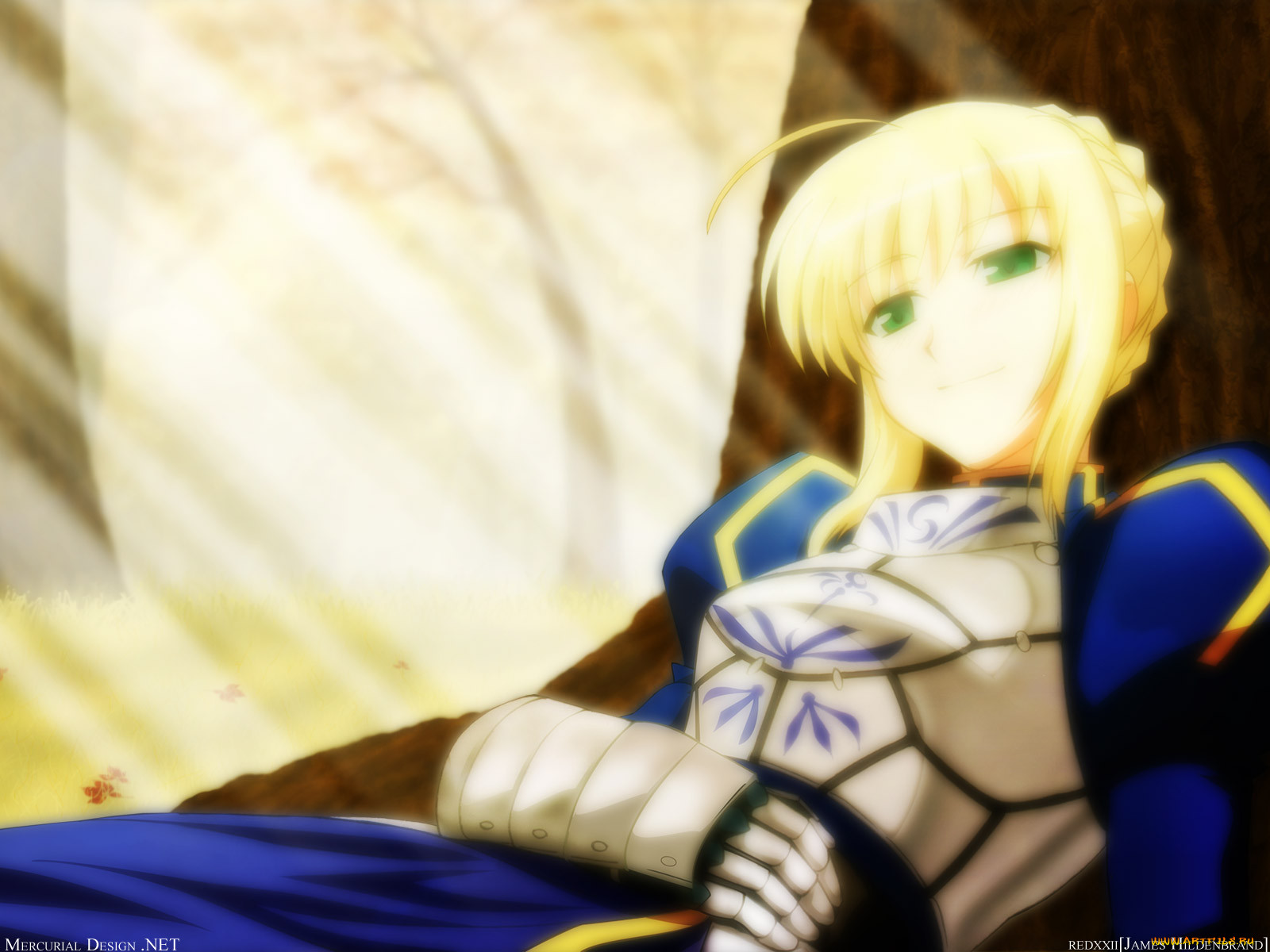 , fate, stay, night